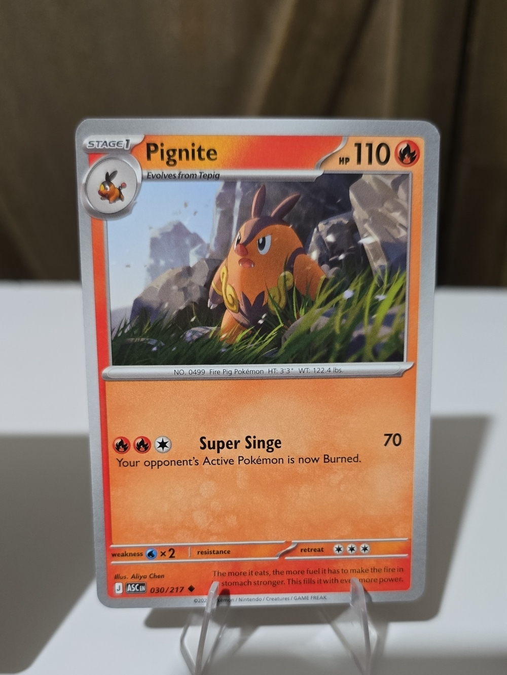 Random Pokemon Card Lot With One Holographic Card - Picture 6 of 9